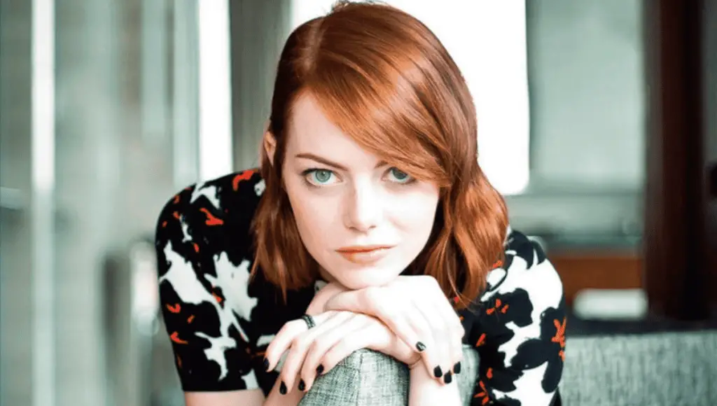 Who Is Emma Stone Married To Now
