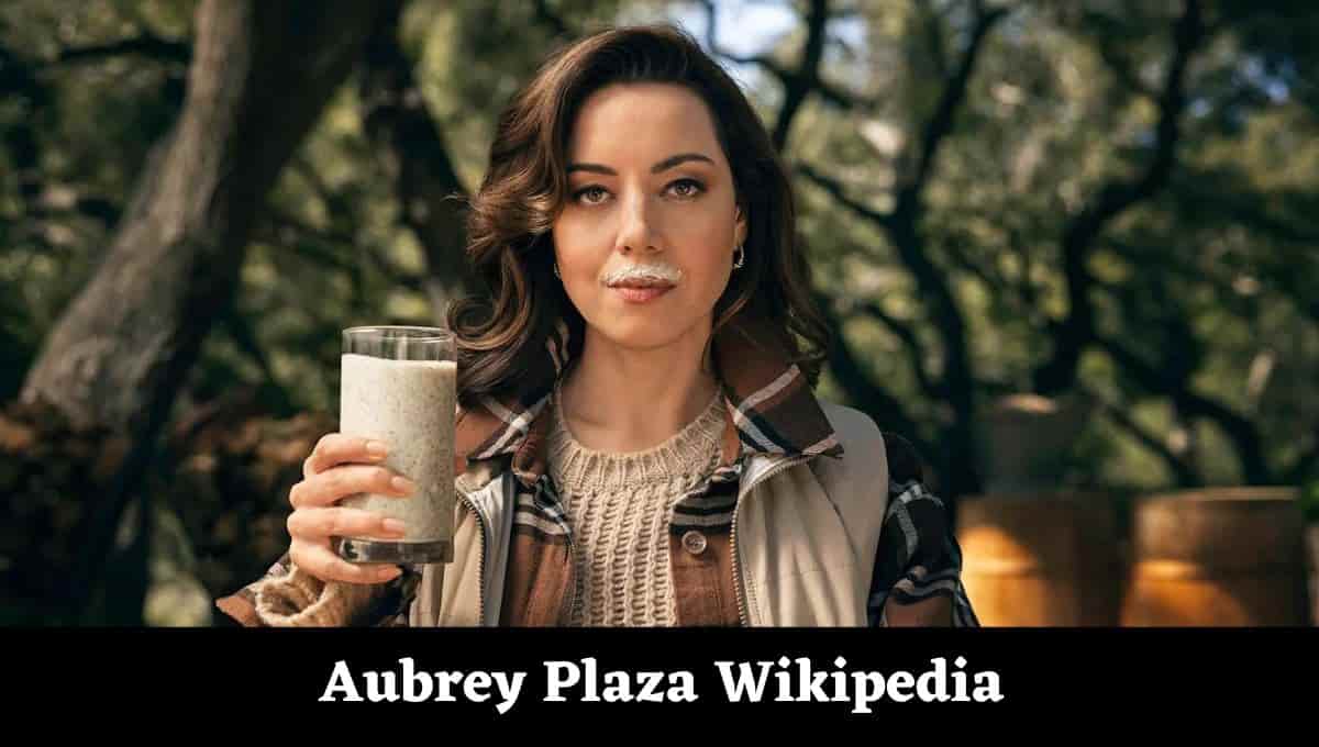 Who Is Aubrey Plaza Married To, Ethnicity, Wikipedia, Wiki, Dating, Husband