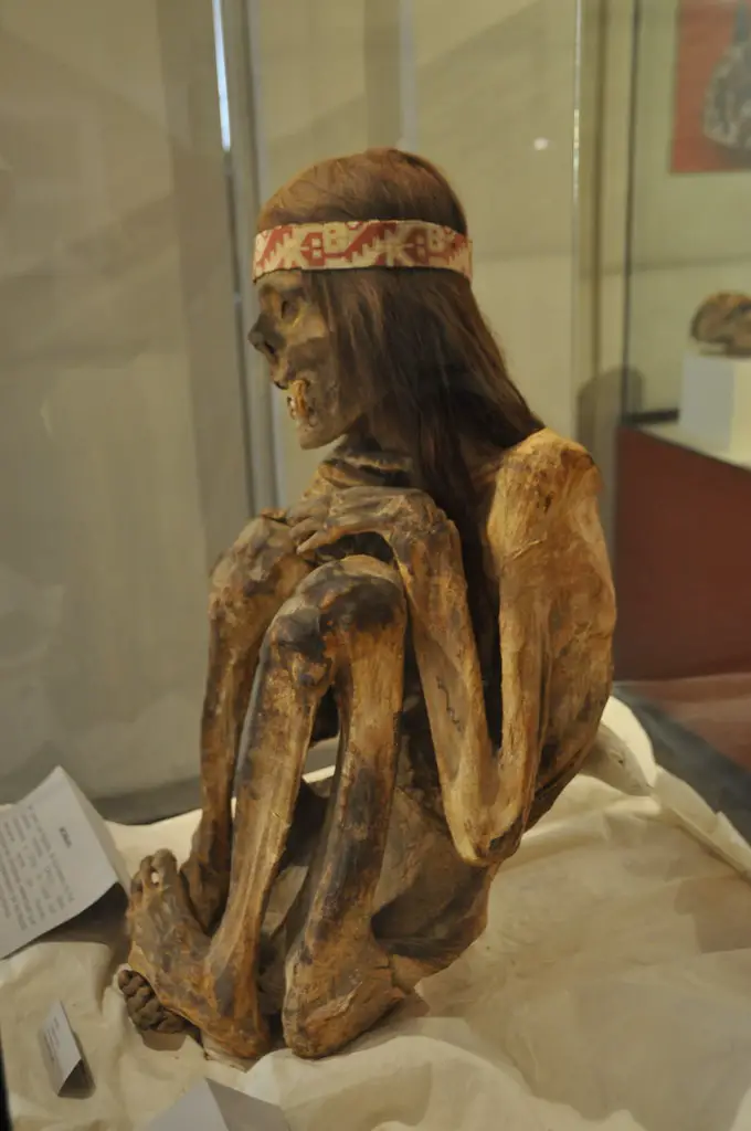 Nazca Mummies Wikipedia, Wiki, Elongated Skulls