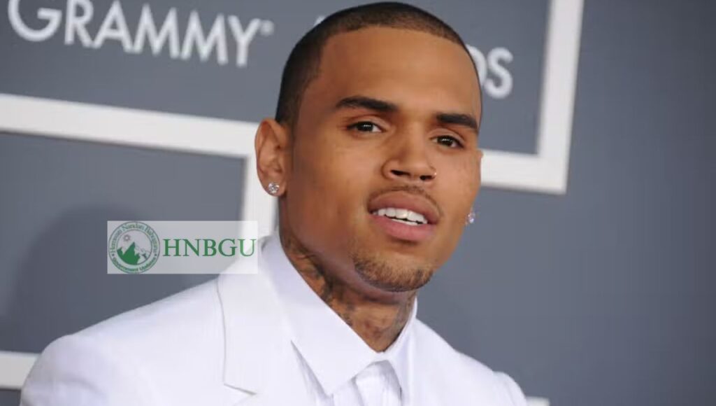 Chris Brown Ethnic Background, Wikipedia, Wiki, Wife, Age, Net Worth, Songs