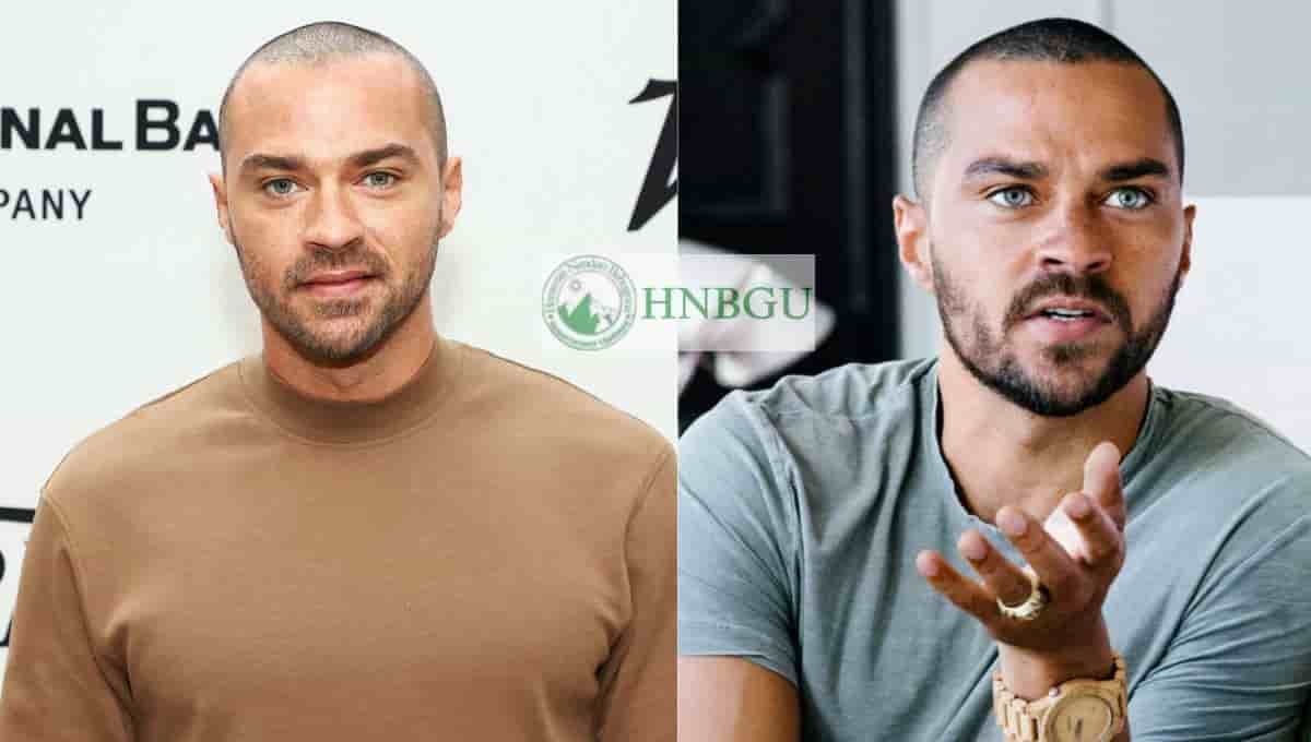Jesse Williams Partner, Wife, Gay, Wife, Girlfriend, Net Worth, Kids, Height, Parents, Young